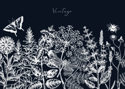 Vector herbs, flowers, weeds, meadows background. Aromatic plants vintage banner. Medicinal herb sketches. Botanical design for cosmetics, perfumery, packaging. Herbal tea ingredients on chalkboard